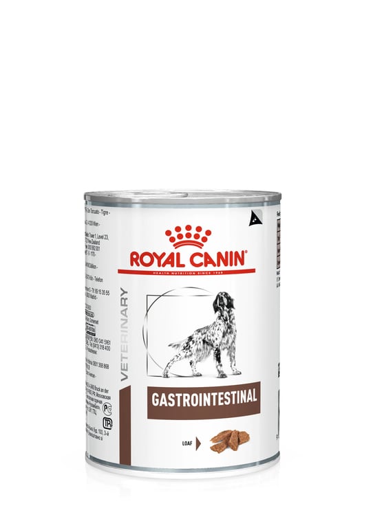 Veterinario Gastrointestinale Cani