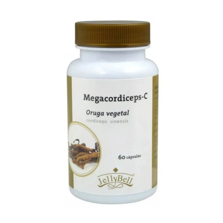 Megacordiceps-C