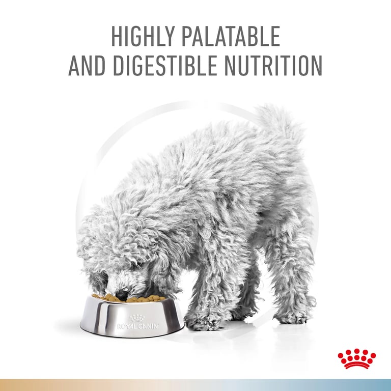 Veterinary Hypoallergenic Para Perros Pequeños - imagen 7 de 7