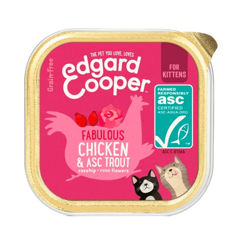Pâtée Chat Poulet Et Truite Bio