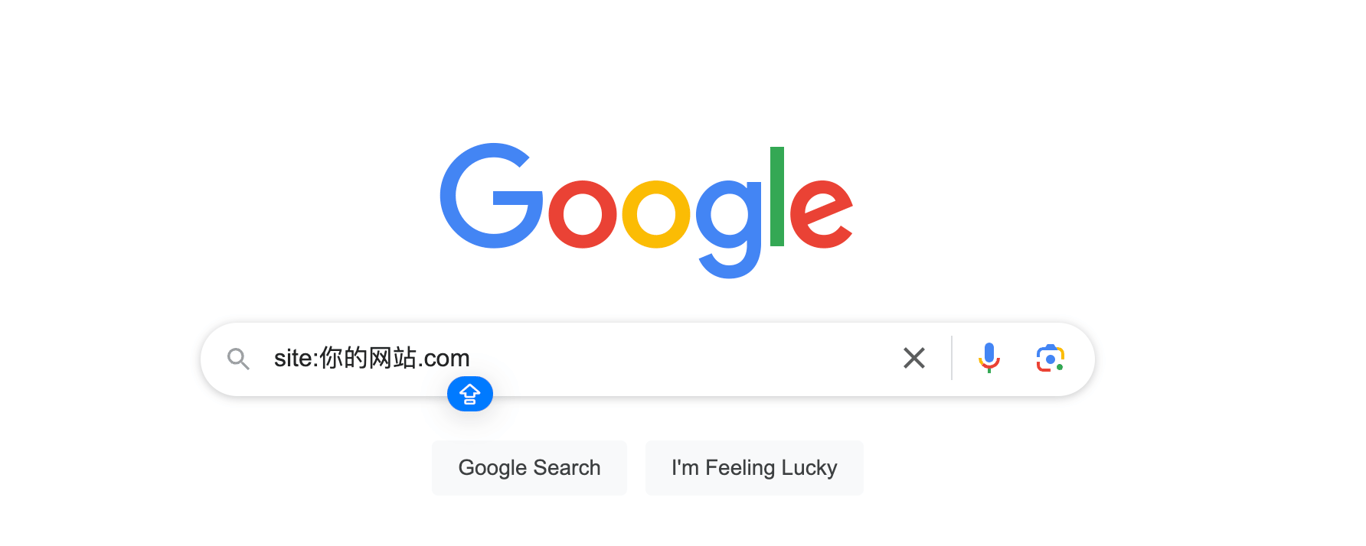"Google search bar with the query 'site:你的网站.com' showing a search for website indexing status.