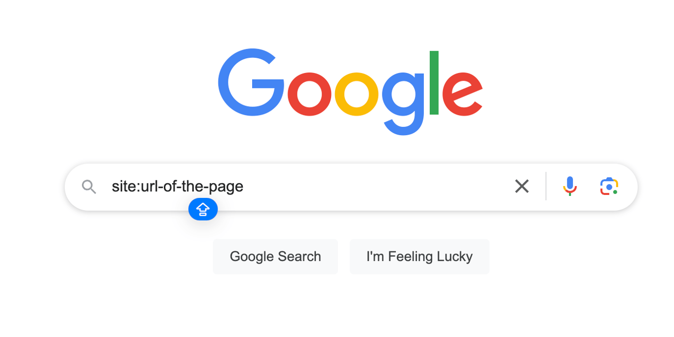 "Google search bar with the query 'site ' demonstrating a search for specific page indexing status on Google.
