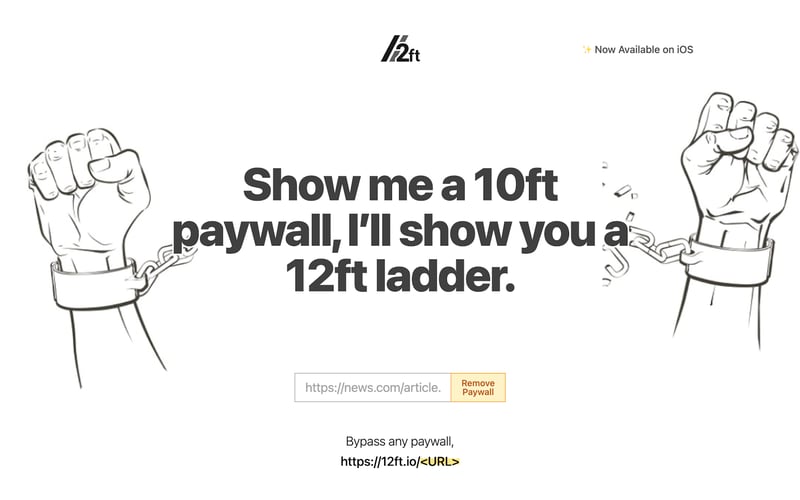 12 Foot Ladder screenshot 1