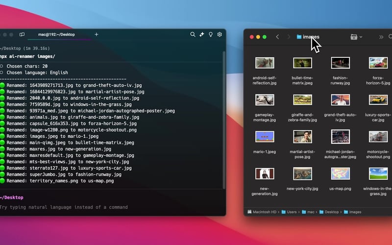 AI Renamer screenshot 2