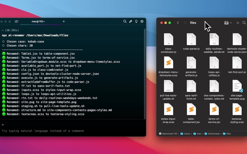 AI Renamer screenshot 3