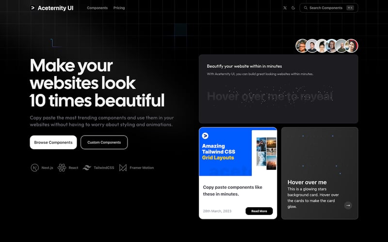 Aceternity UI screenshot 1