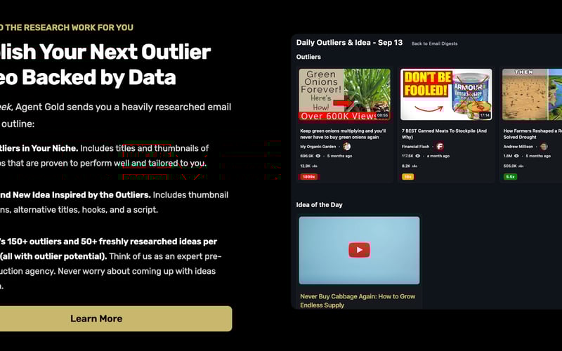 Agent Gold screenshot 2