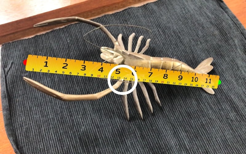 AirMeasure screenshot 3