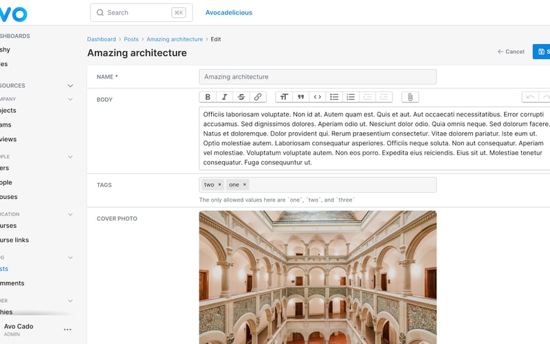 Avo CMS for Ruby on Rails screenshot 3