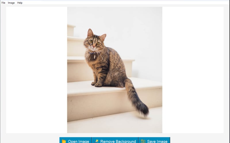 BG Remover screenshot 1