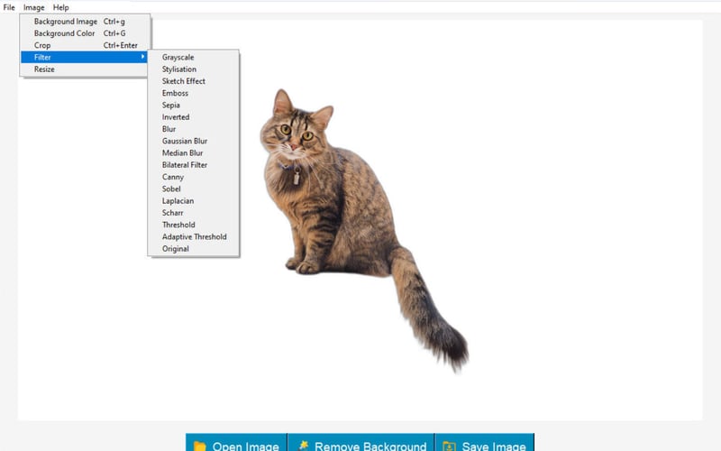BG Remover screenshot 2