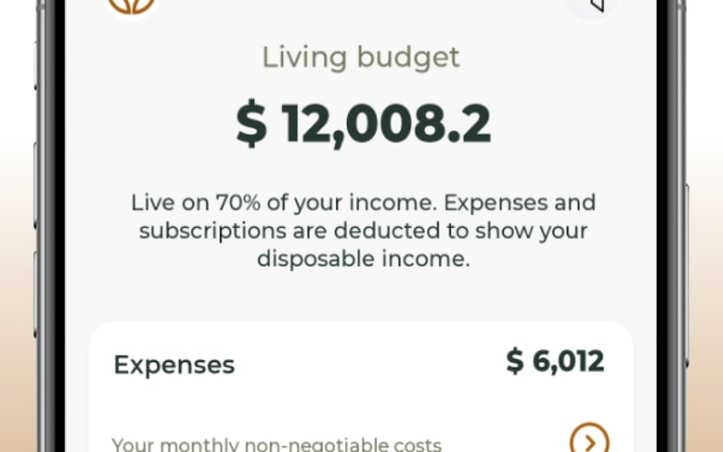 Babylon Balance screenshot 3