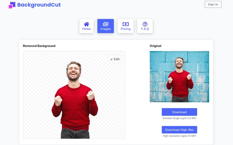 BackgroundCut screenshot 2