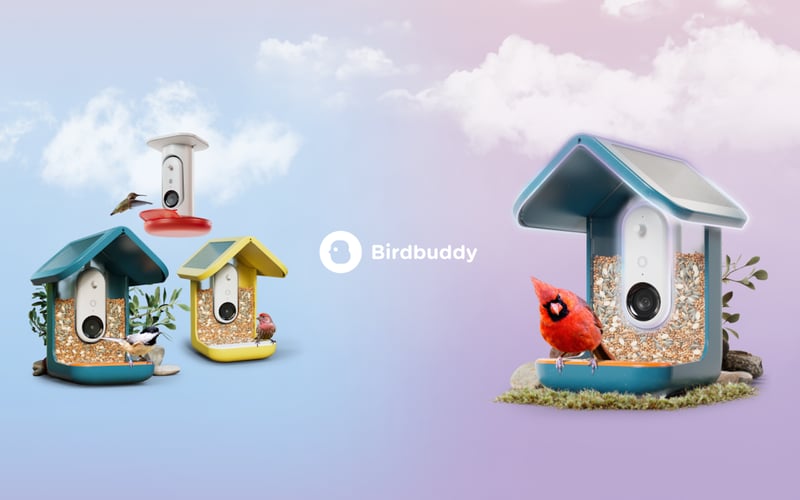 Bird Buddy screenshot 1