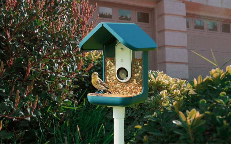 Bird Buddy screenshot 2