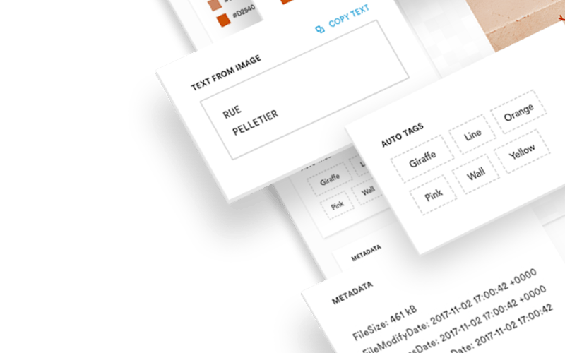 Brandfolder screenshot 1