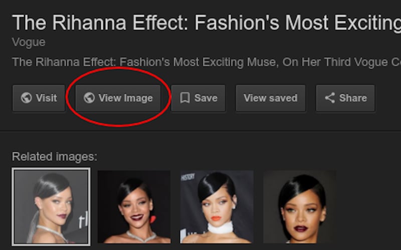 Bring Google View Image Back screenshot 1