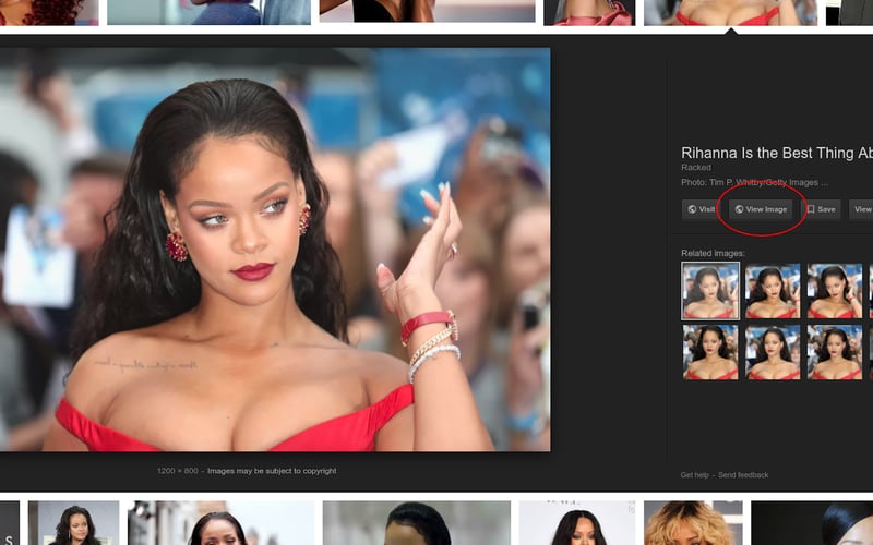 Bring Google View Image Back screenshot 2