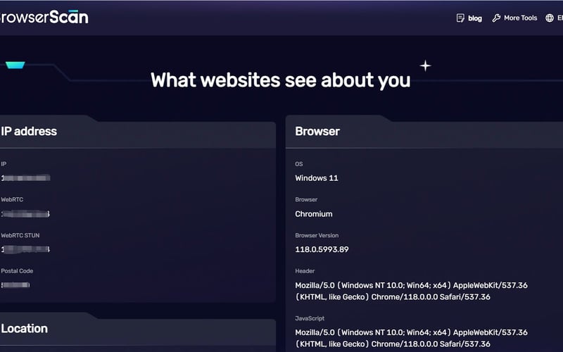 BrowserScan screenshot 2