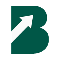 BryZora Uptime Monitoring Services