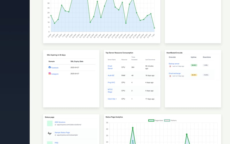BryZora Uptime Monitoring Services screenshot 2