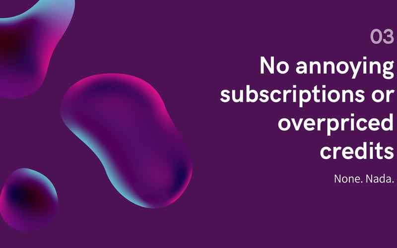 BudgetSEO screenshot 3