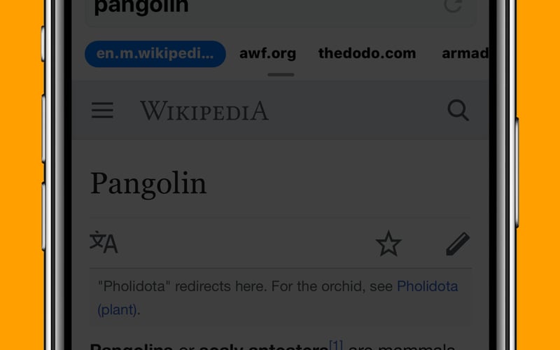 Cake Browser screenshot 2