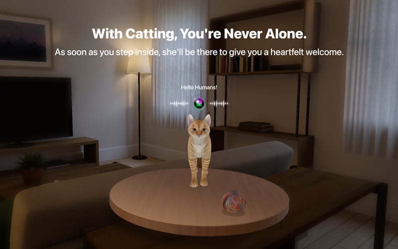 Catting screenshot 2