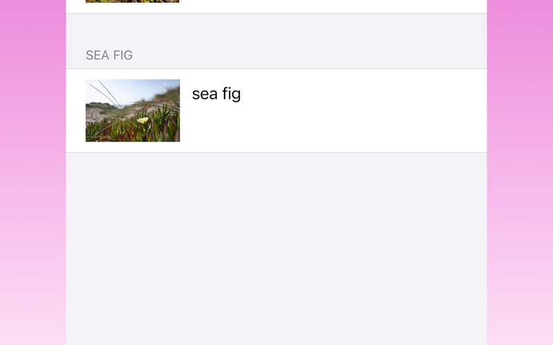 CrossPrism Nature screenshot 3