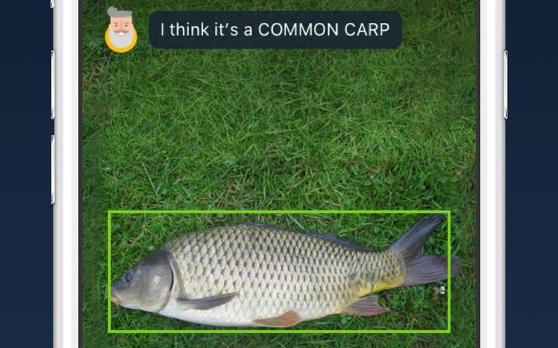 Deep Fish screenshot 1