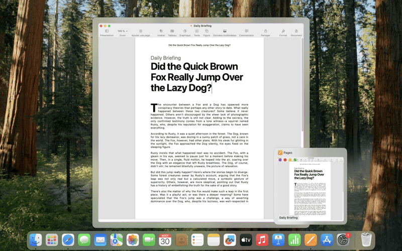 DockDoor screenshot 3