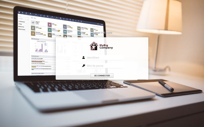 Dolibarr ERP CRM screenshot 2