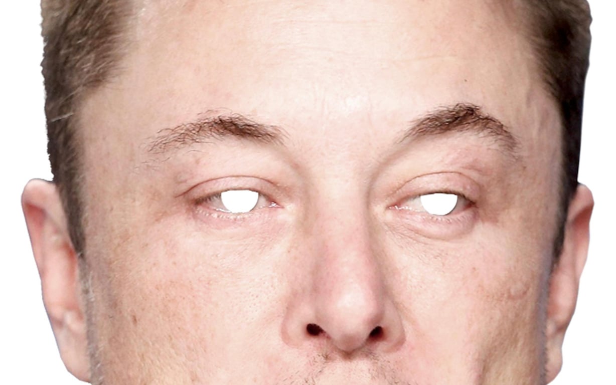 Elon Mask preview