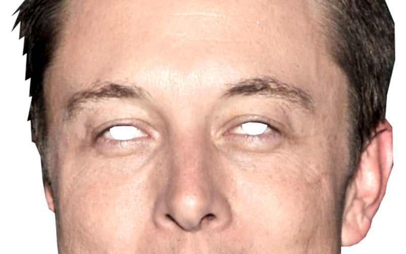 Elon Mask screenshot 2