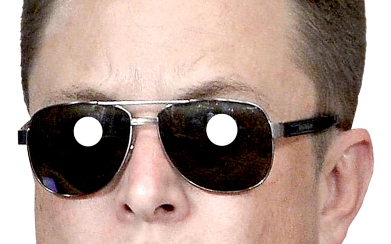 Elon Mask screenshot 3