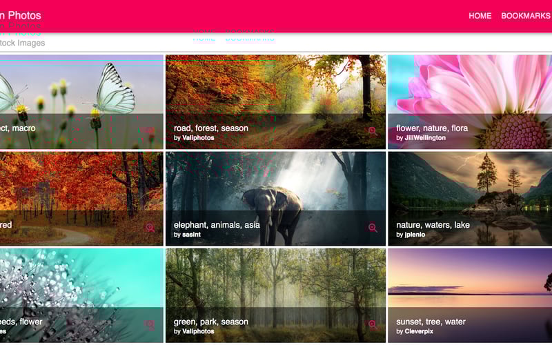 Evergreen Photos screenshot 1