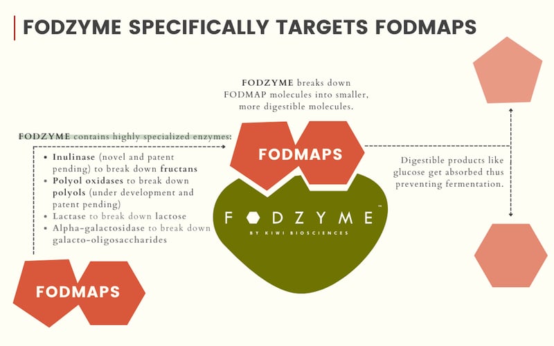 FODZYME® screenshot 3