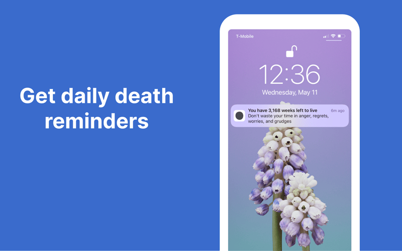 FailFlow screenshot 3