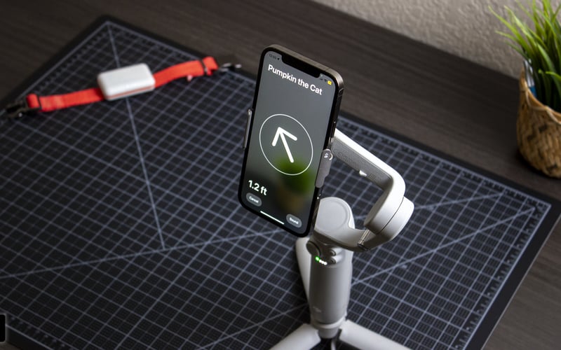 FindMyCat screenshot 1