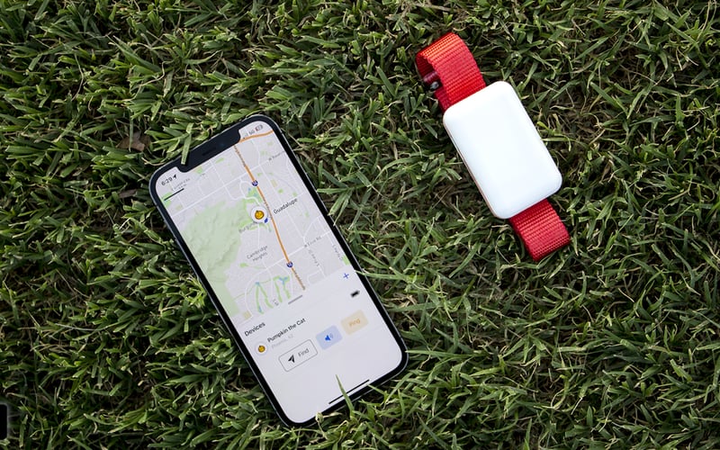 FindMyCat screenshot 2