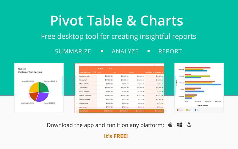 Flexmonster Desktop screenshot 1