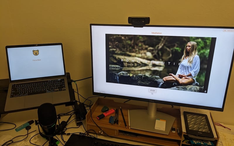 Focus Bear screenshot 1