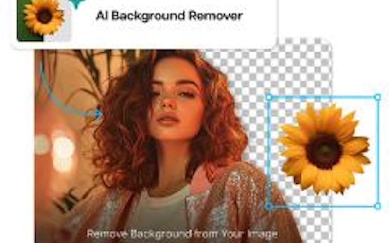 FreePixel AI Background Remover Tool screenshot 2