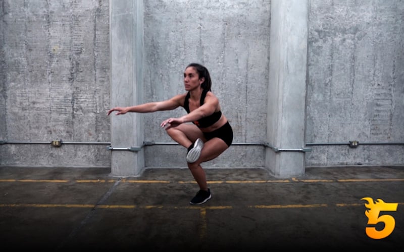 Furious Five screenshot 2