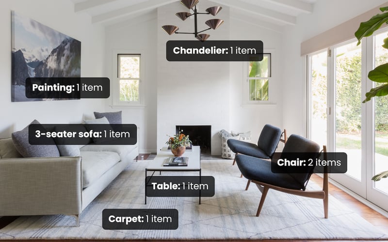 Furniture & Household Item Recognition screenshot 1