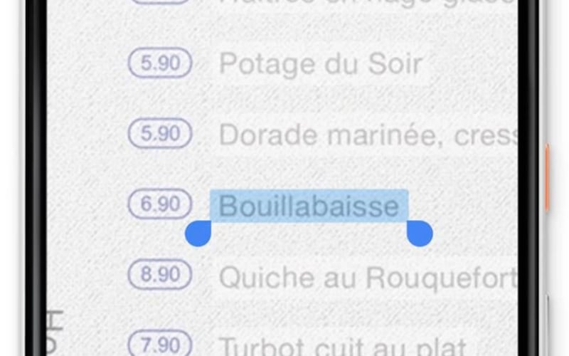Google Lens screenshot 2