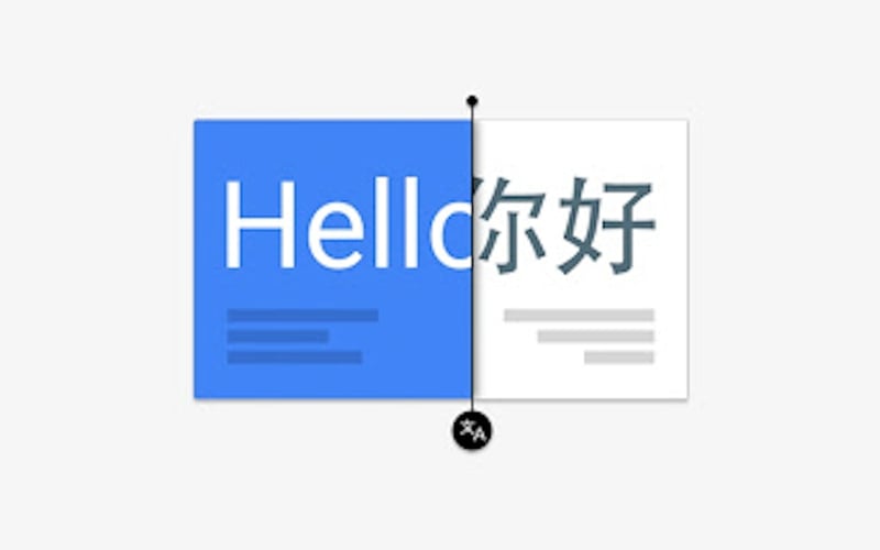 Google Translate screenshot 2