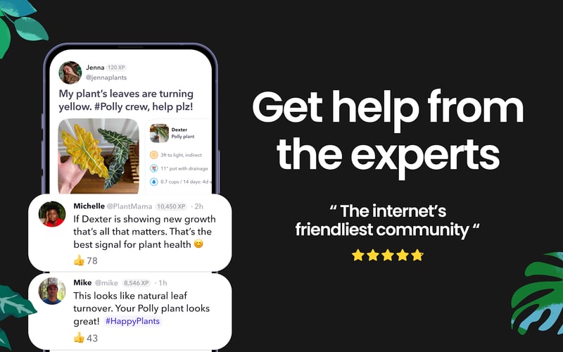 Greg 🌱 screenshot 3