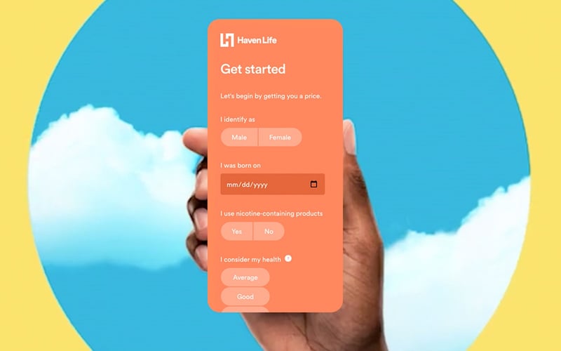 Haven Life screenshot 2