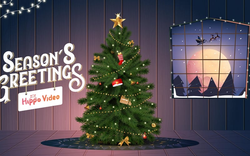 Hippo Video screenshot 1